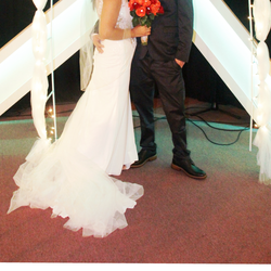 Davids bridal wedding dress + vail