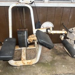 Leg curl bench for sale hot sale