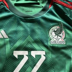 Adidas World Cup Jersey
