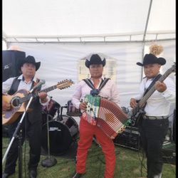 Norteño Disponible Accordion 🪗 