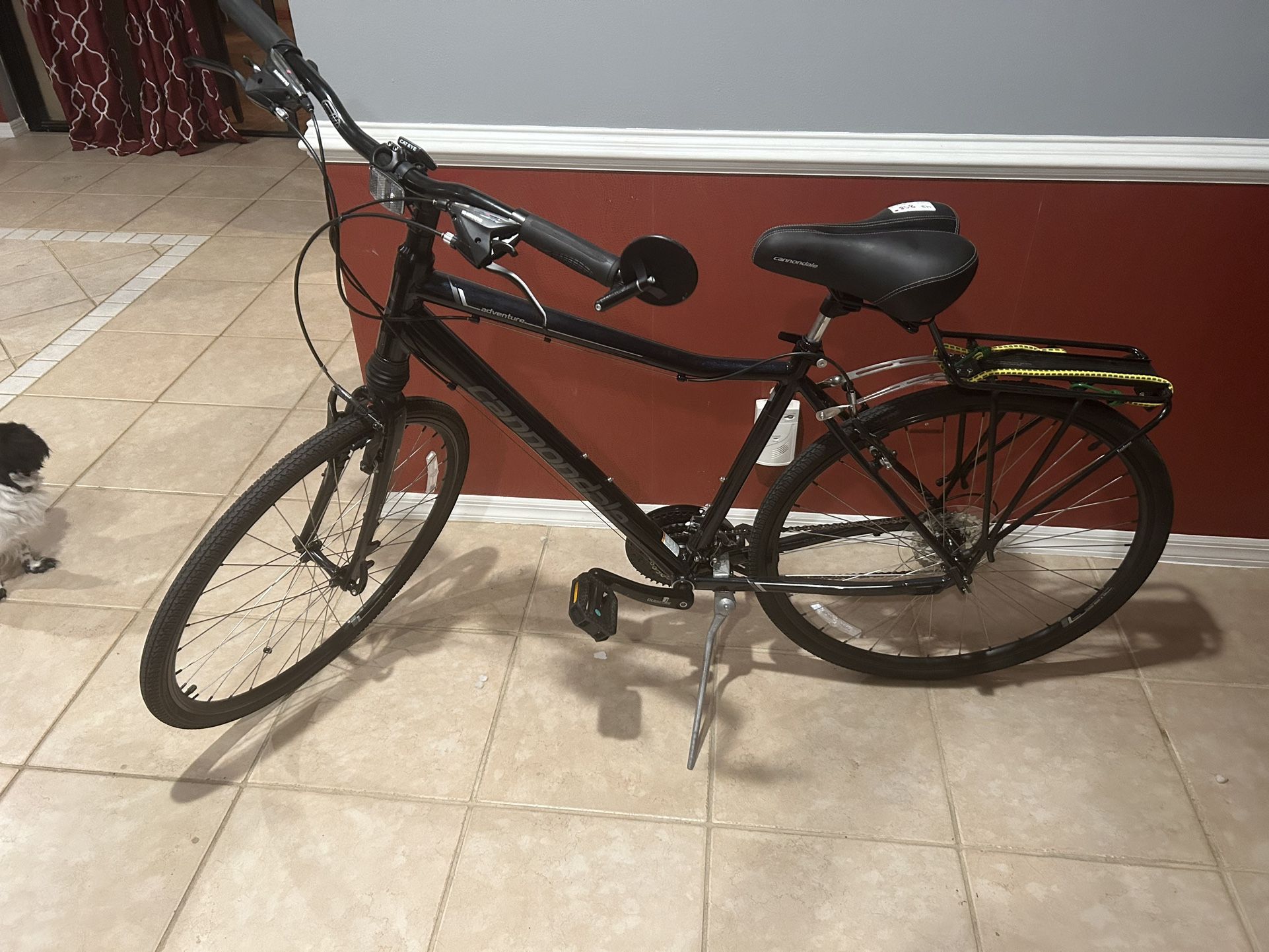 Cannondale Bike Adventure SS-a7