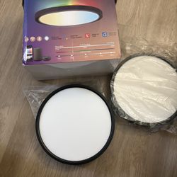 WiFi Ceiling Light