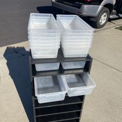 Snake Hatchling Rack 