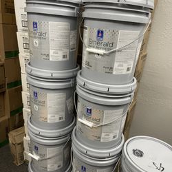 Tricorn Black Paints 