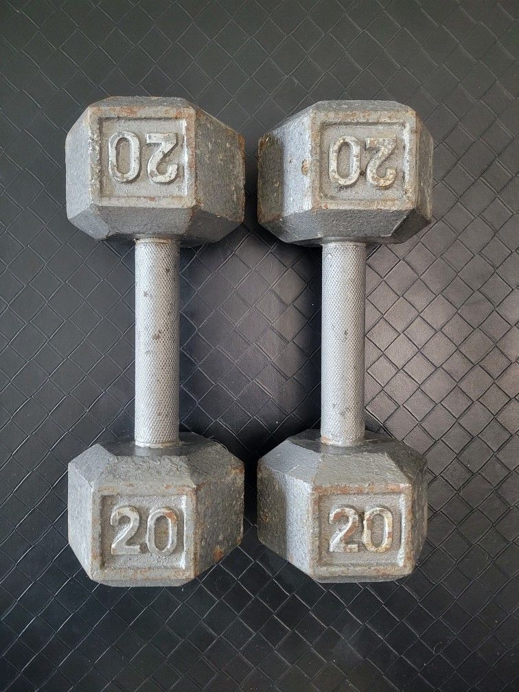 Dumbbells (20lbs Pair)