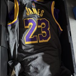 Nike Lebron James Swingman Jersey Xl Lakers 