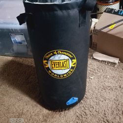 Everlast Punching Bag