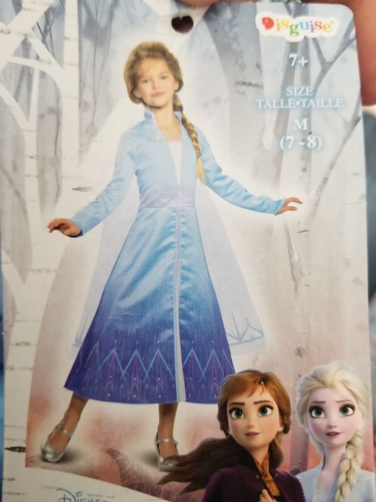 Elsa costume Frozen