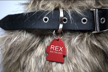 Pet ID