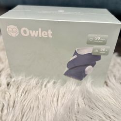Owlet