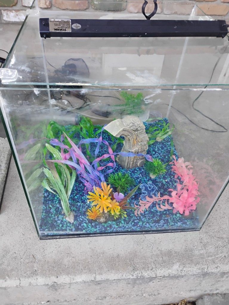 15 Gallon Cube Aquarium 