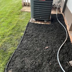 Fresh Sod Cut Every 
