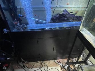 55 Gallon Tank