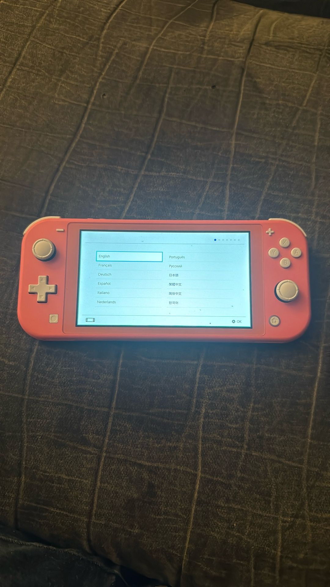 Nintendo Switch Lite