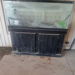 50 Gallon Fish Tank With Stand