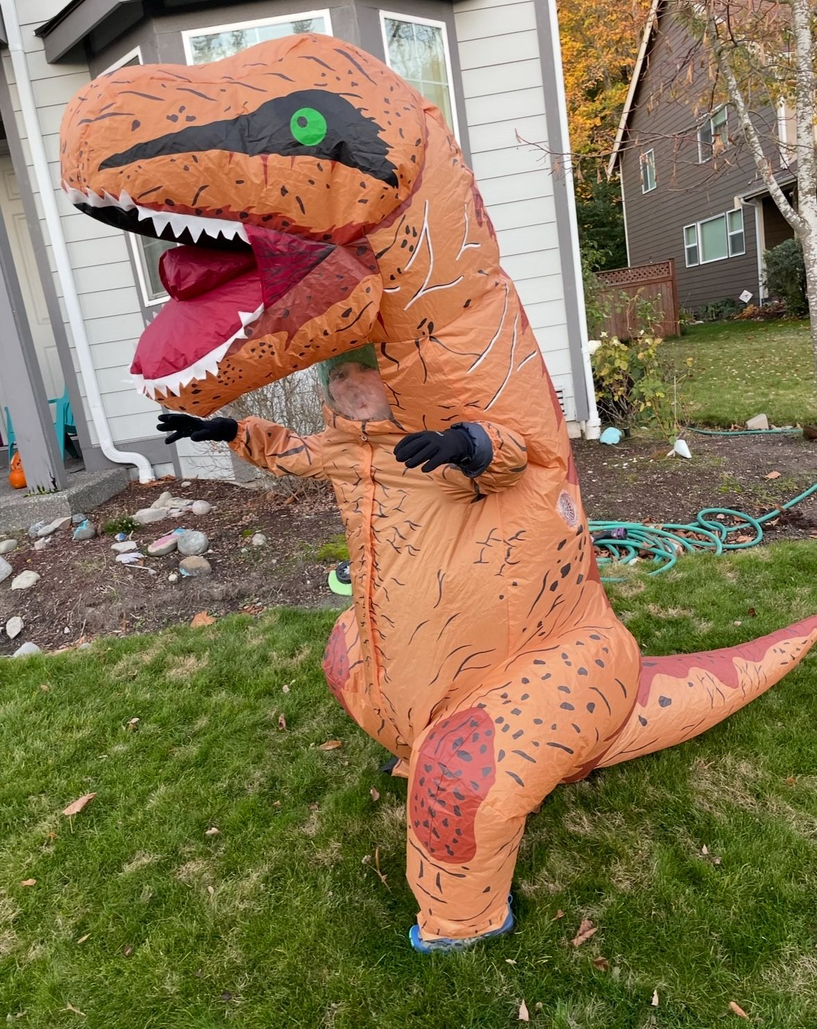 Halloween Costume Blowup Dinosaur