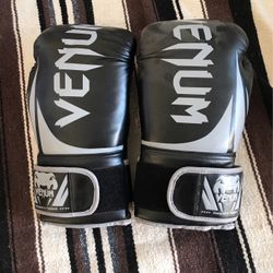 Venum Boxing Gloves - 16 Oz
