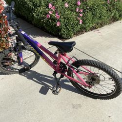 Nishiki 20 Inch Bike