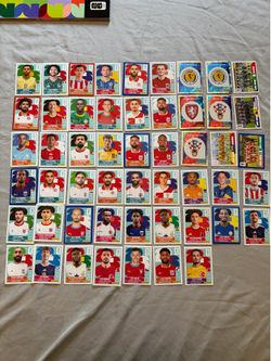 Panini world cup stickers 2026