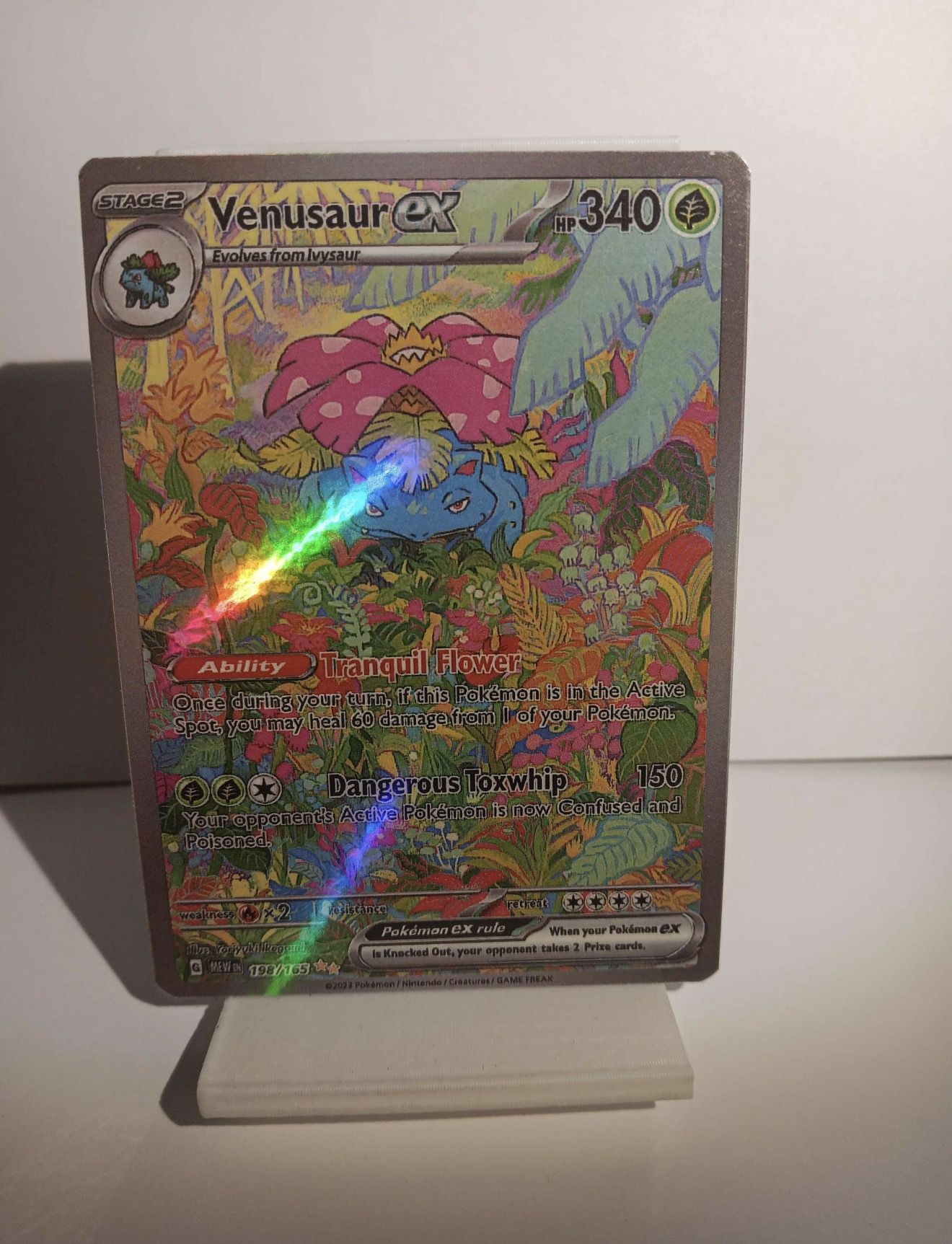 Venusaur From Evolutions 151 .