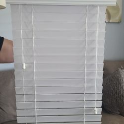 Door Blind 19x31 (Plastic)