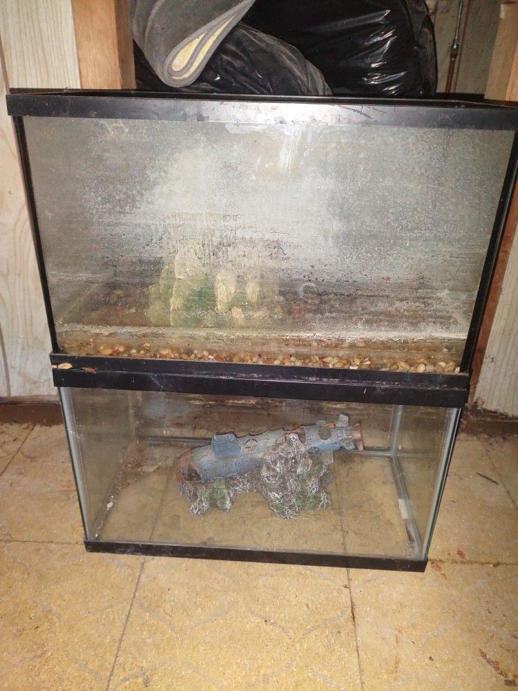Two 10 Gallon Fish Tanks