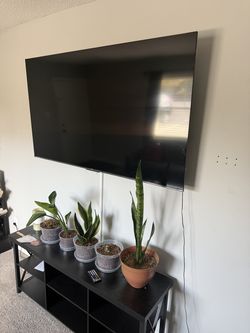 TCL tv 65inch