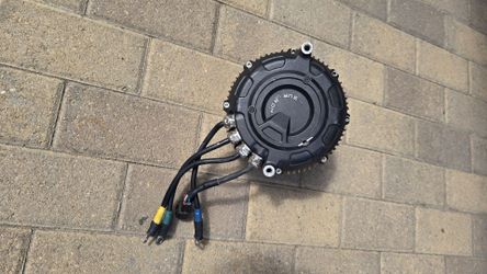 Surron motor fried
