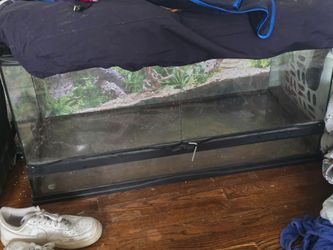 Exo Terra Large Wide Glass Terrarium.