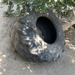 Work Out Tire / Tractor Tire 