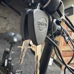 E bike Lectric xp lite