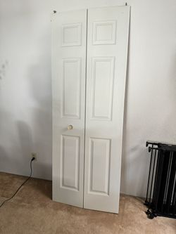White Folding Door