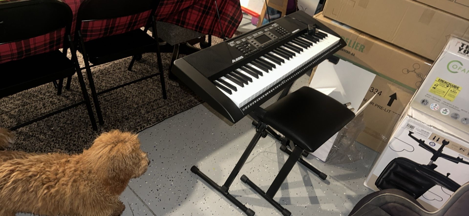 Alesis Harmony 61