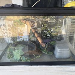 Snake Tank 