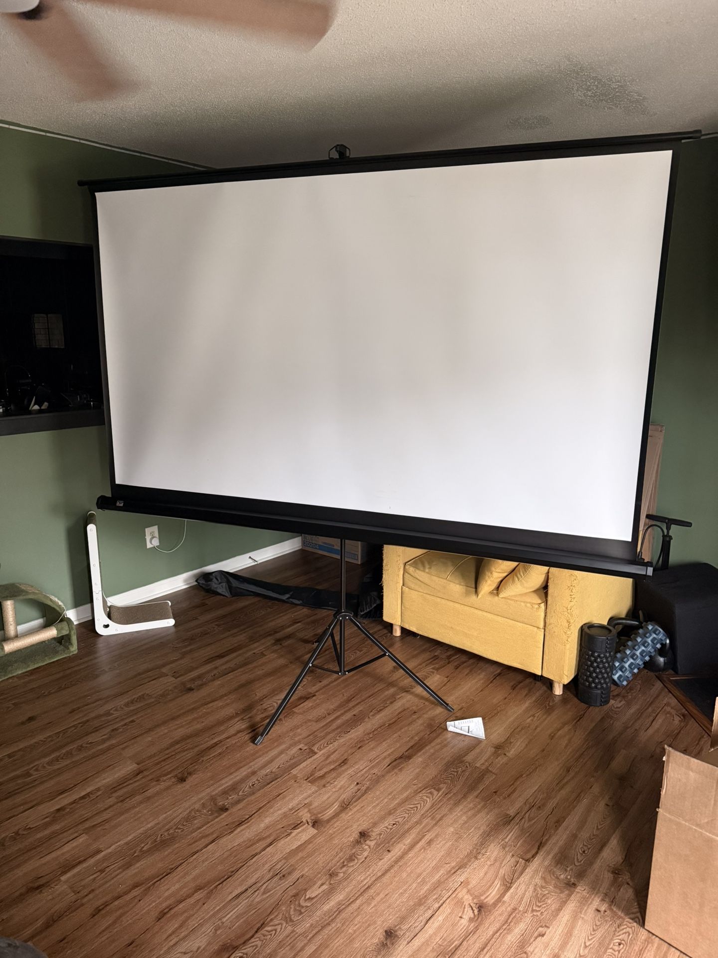 Projector and Screen