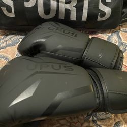 Liberlupus Boxing Gloves for Men & Women, Boxing Training Gloves, Kickboxing Gloves, Sparring Punching Gloves, Heavy Bag Workout Gloves for Boxing, Ki