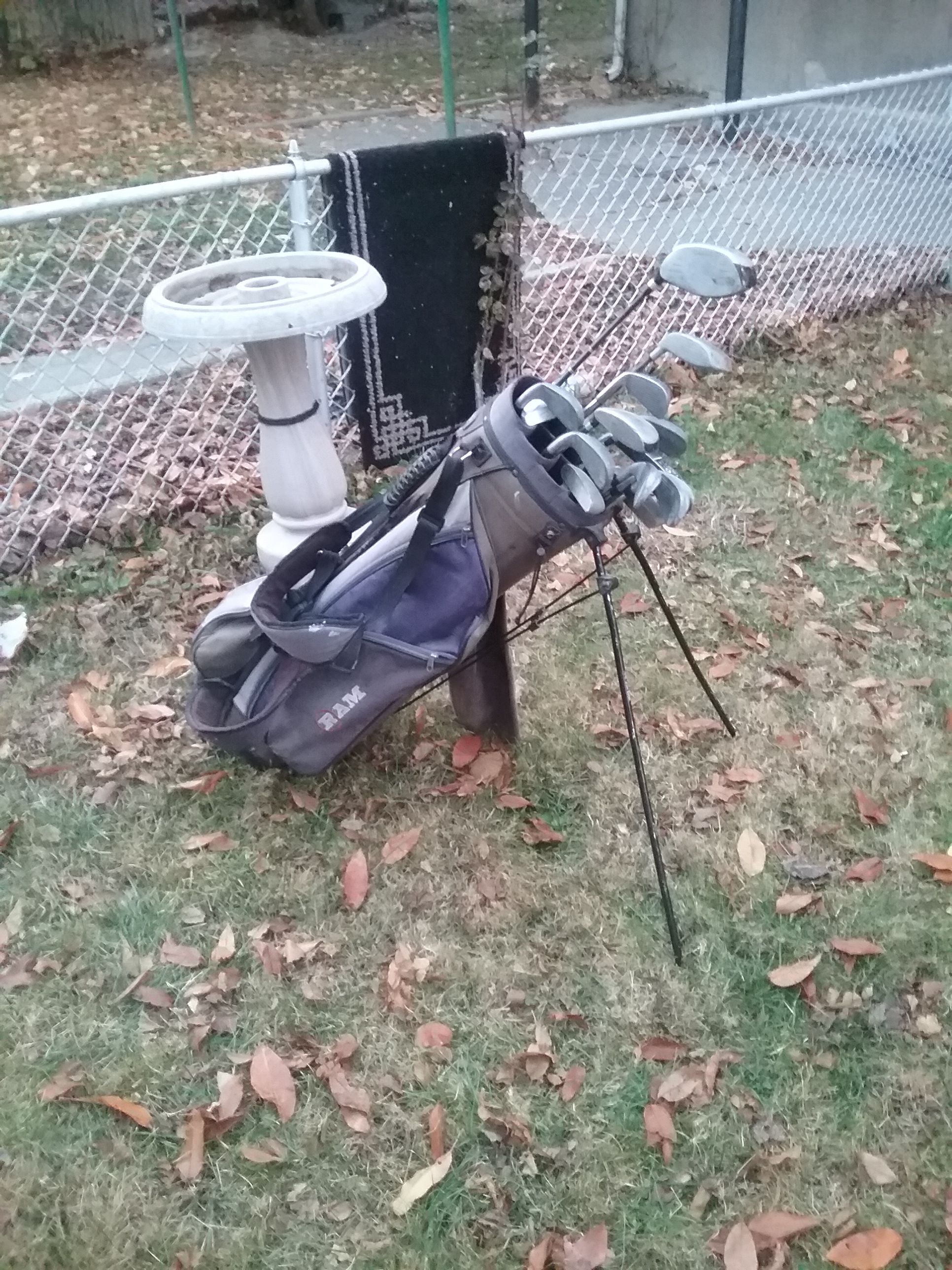 Assorted golf clubs and caddy