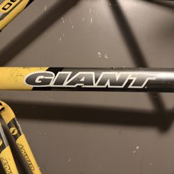 Giant OCR - 3 Frame And Fork Size Large