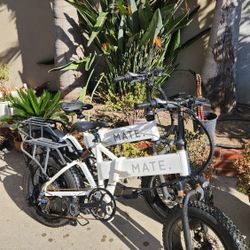 Mate X Electric Bike