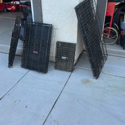 Dog Kennels