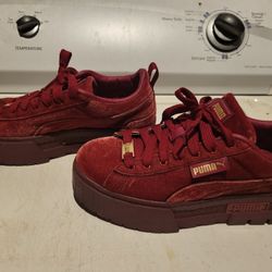 Pumas