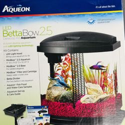 Betta Bow