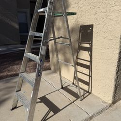 6 Foot Ladder 