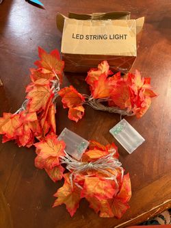 3 harvest string lights
