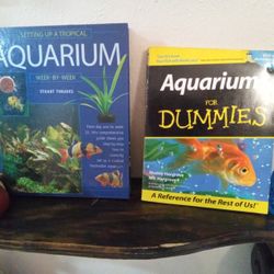 🐠 Fish Knowledge Here!🐡 Aquariums For Dummies & 12week Tropical Tank Set Up Guide 🐟