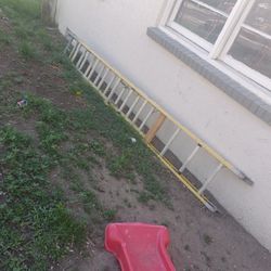 Extremely Tall Ladder