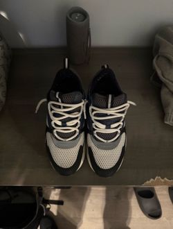 Dior b22