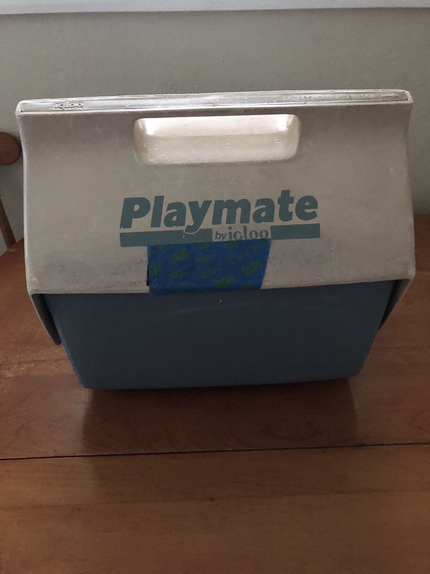Playmate Igloo Cooler