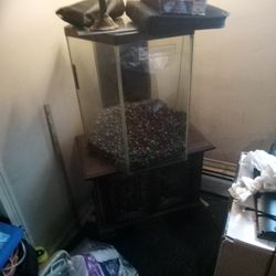 Octagon Fish Tank