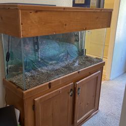 55Gallon Fish Tank